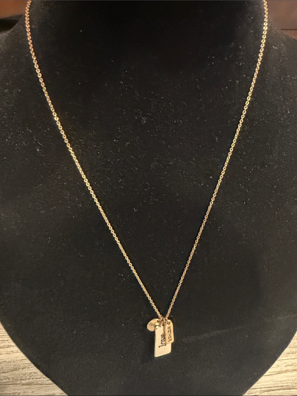 Charming Charlie Gold Tone Tag Pendant Necklace